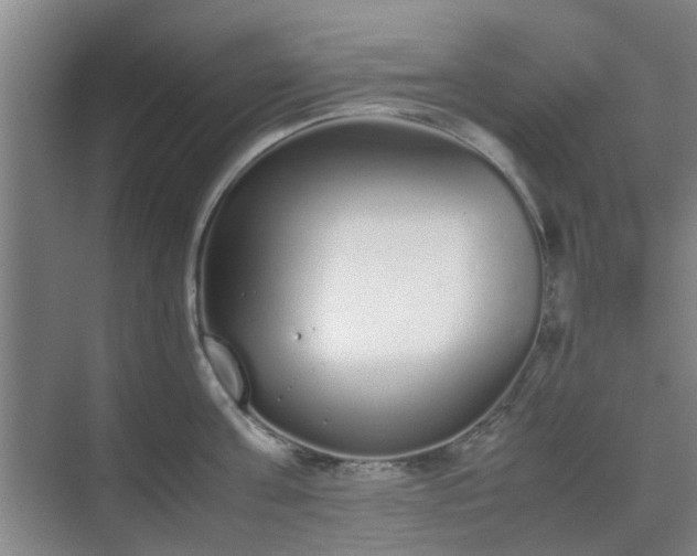 X0000070380811200606161342