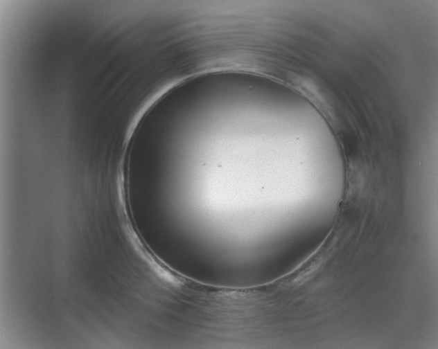 X0000070380812200606161342