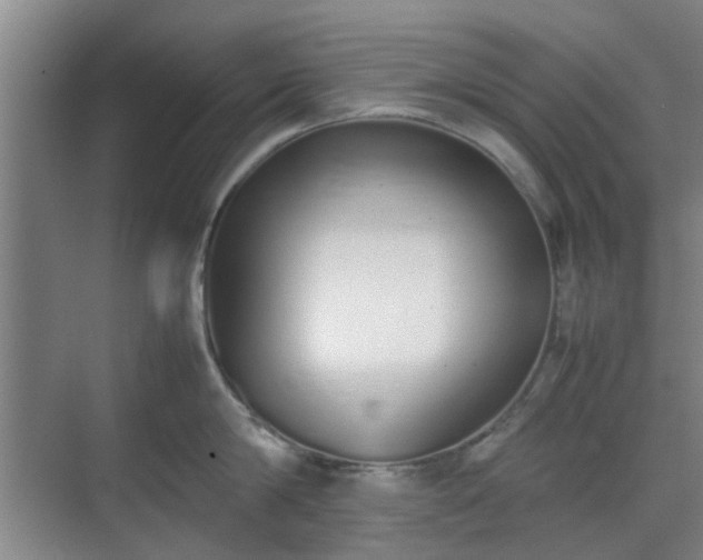 X0000070380814200606161342