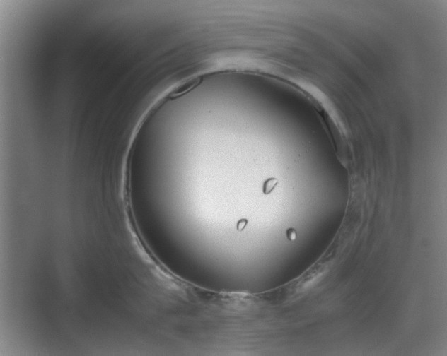 X0000070380815200606161342