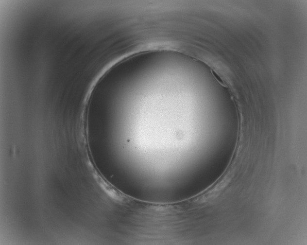 X0000070380816200606161342