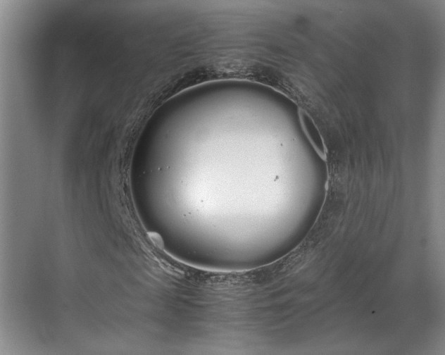 X0000070380817200606161341