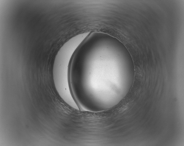 X0000070380818200606161341