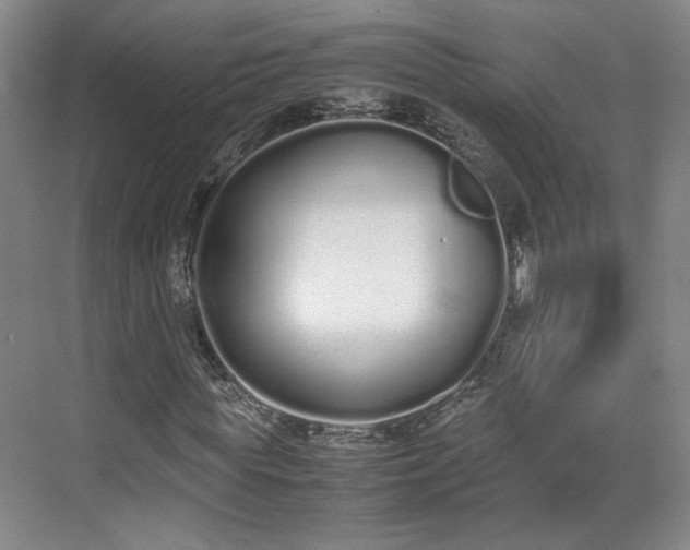 X0000070380819200606161341