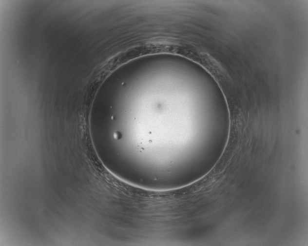 X0000070380821200606161341