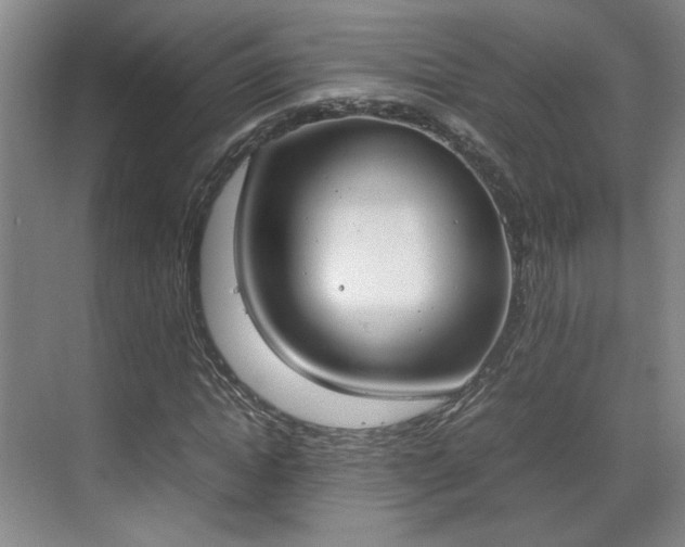 X0000070380822200606161341