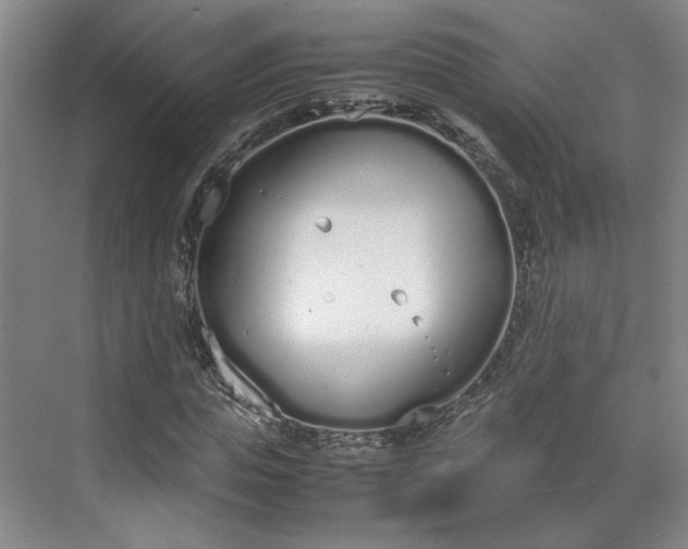 X0000070380823200606161341