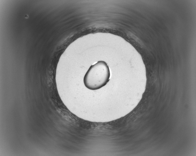 X0000070380824200606161341