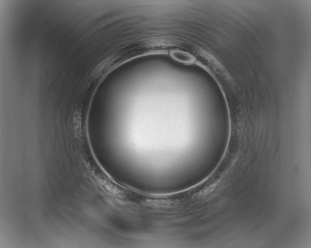 X0000070380825200606161341