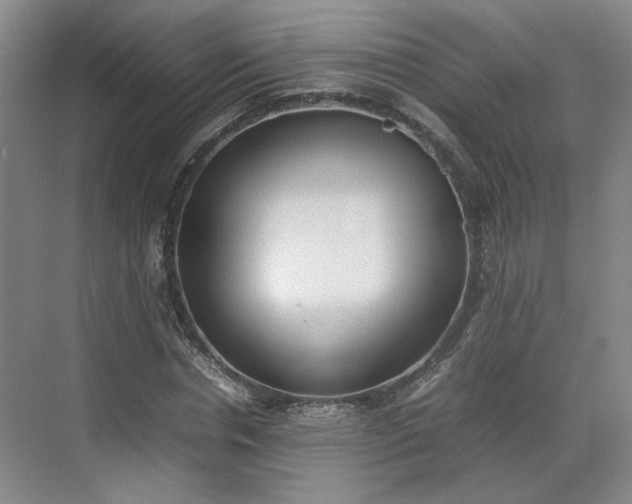 X0000070380826200606161341