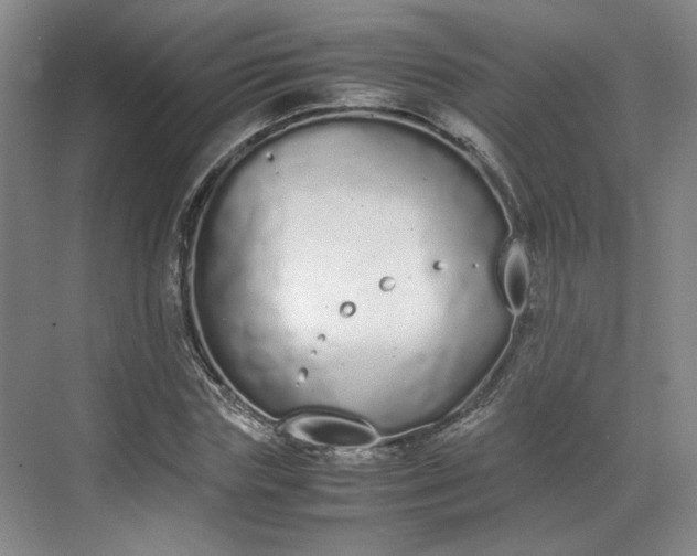 X0000070380827200606161341