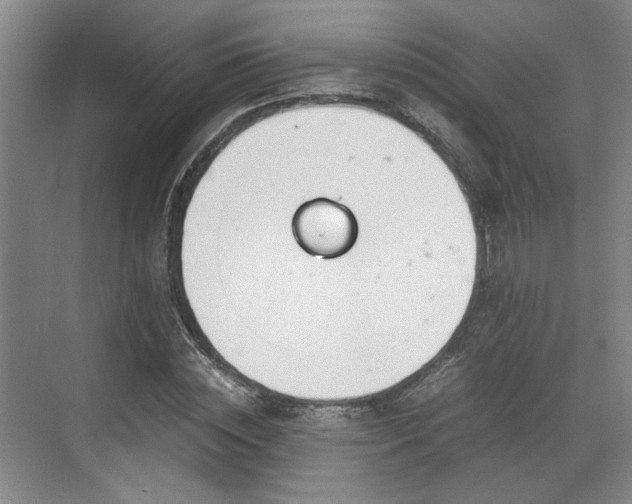 X0000070380828200606161341