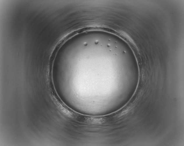 X0000070380831200606161342