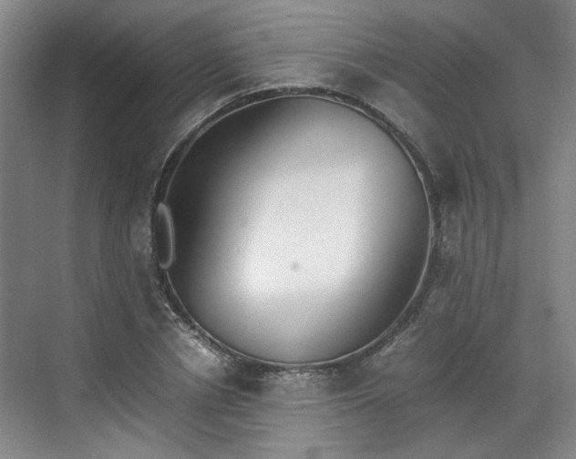 X0000070380834200606161342