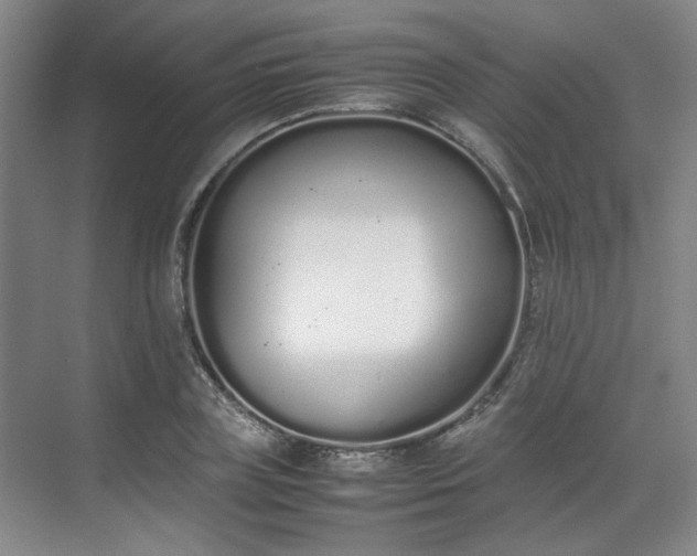 X0000070380835200606161342