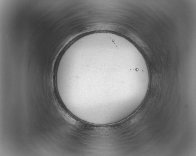 X0000070380836200606161342