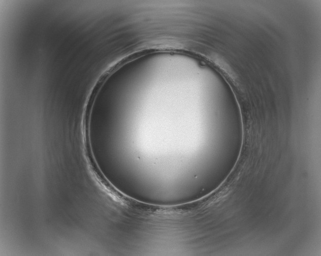 X0000070380840200606161342