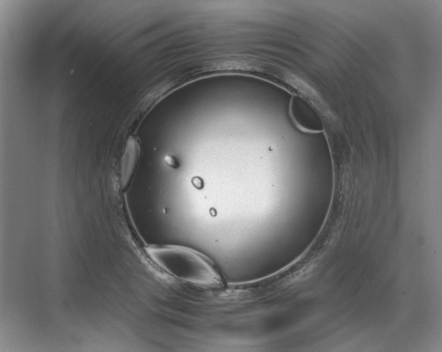 X0000070380841200606161342