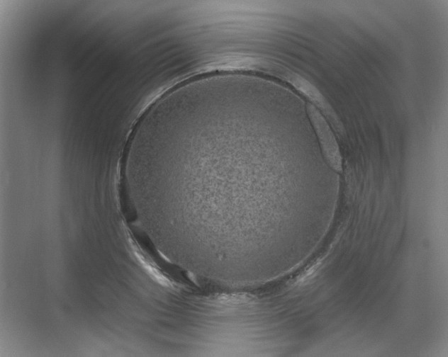 X0000070380842200606161342