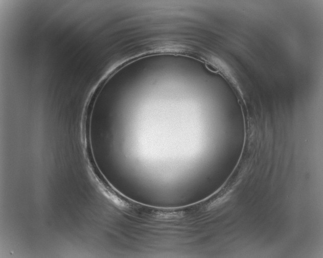 X0000070380843200606161342