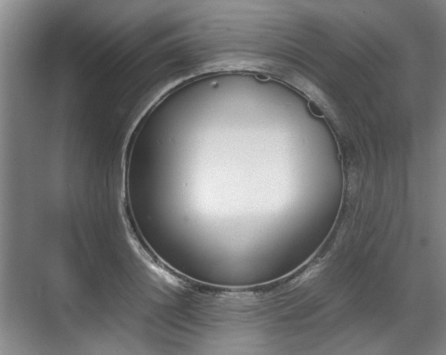 X0000070380844200606161342