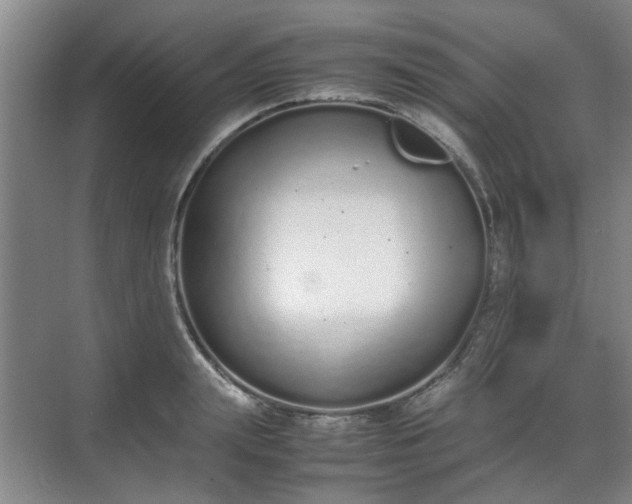 X0000070380847200606161342