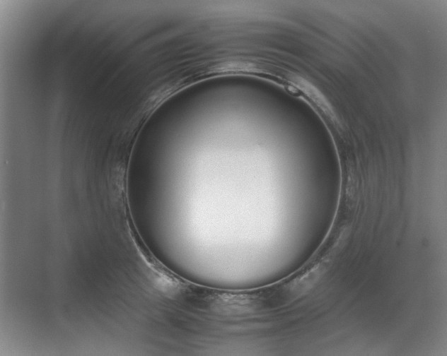 X0000070380849200606161342