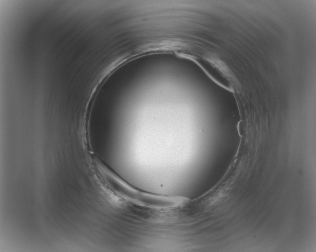 X0000070380850200606161342