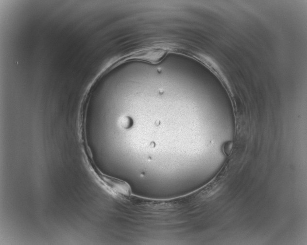 X0000070380851200606161342