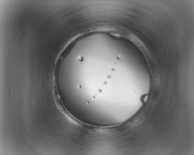 X0000070380852200606161342