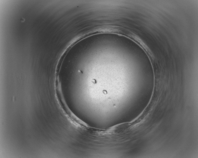 X0000070380853200606161342