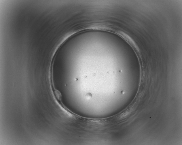 X0000070380855200606161342