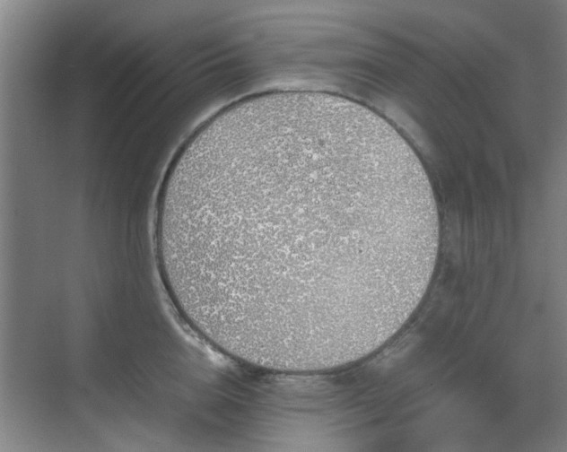 X0000070380856200606161342