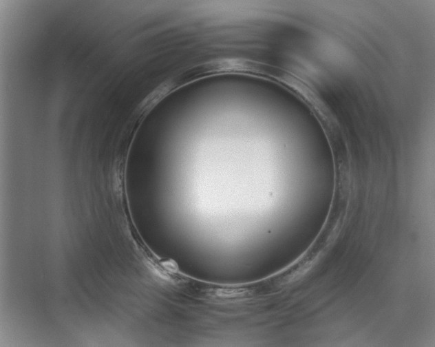 X0000070380857200606161342