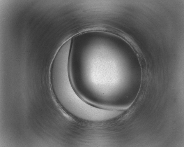 X0000070380858200606161342