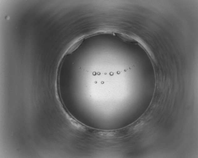 X0000070380861200606161342