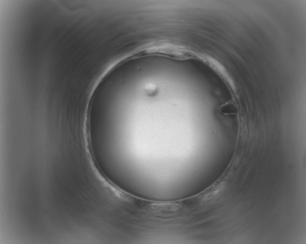 X0000070380863200606161342