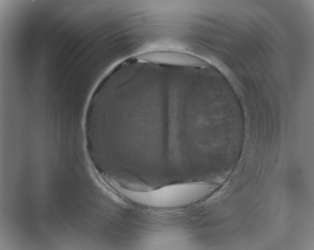 X0000070380864200606161342