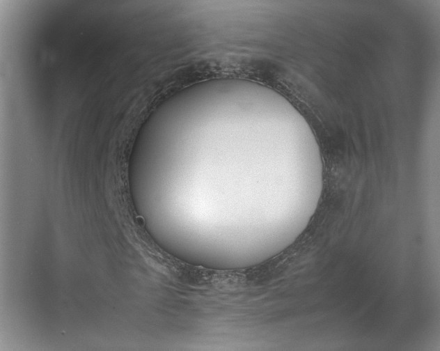 X0000070380865200606161341