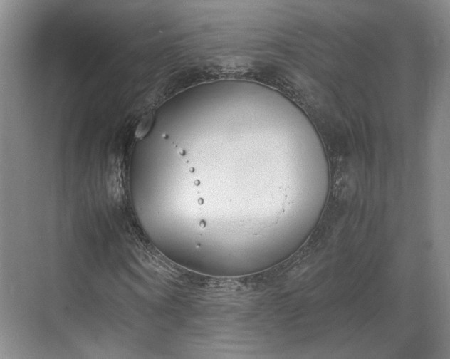 X0000070380866200606161341