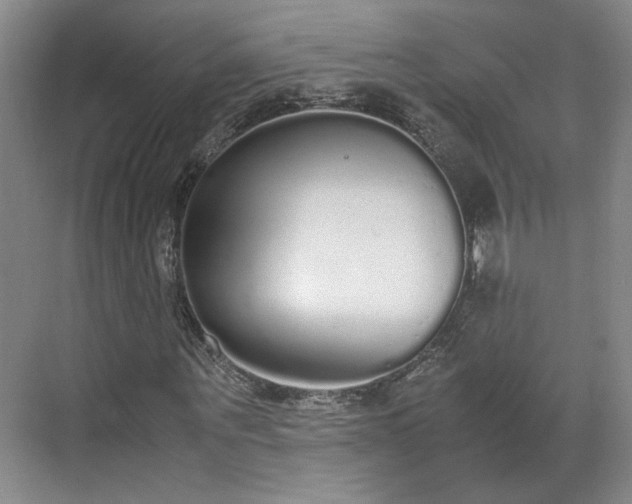 X0000070380867200606161341