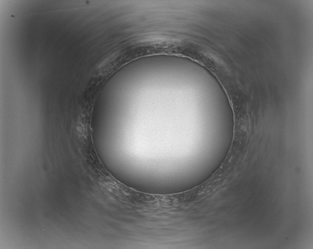 X0000070380869200606161341