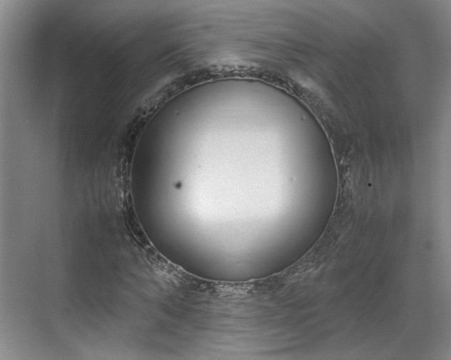 X0000070380870200606161341