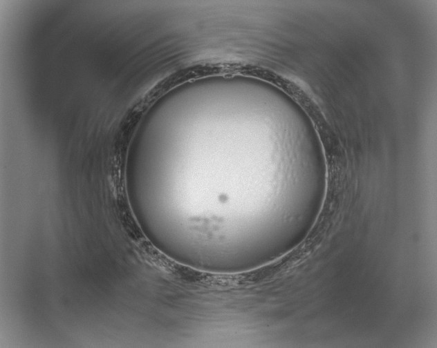 X0000070380871200606161341