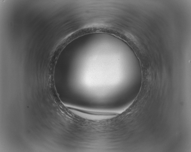 X0000070380872200606161341