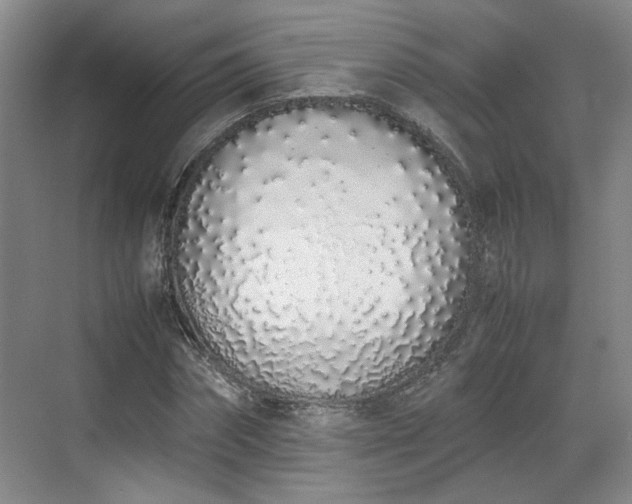 X0000070380874200606161341