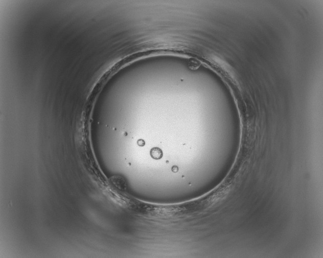 X0000070380875200606161341