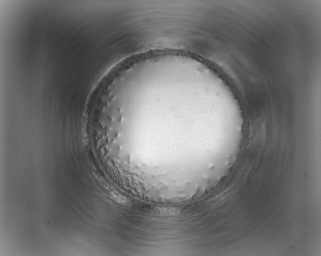 X0000070380878200606161341