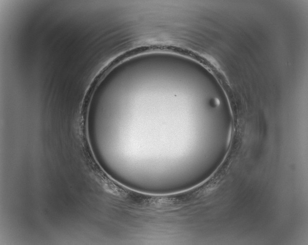 X0000070380879200606161341