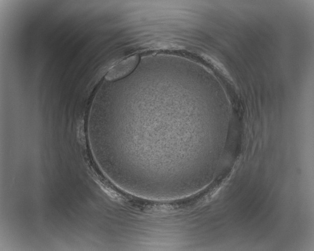 X0000070380881200606161341